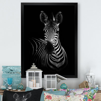 Zebra In Black And White " Zebra In Black And White "