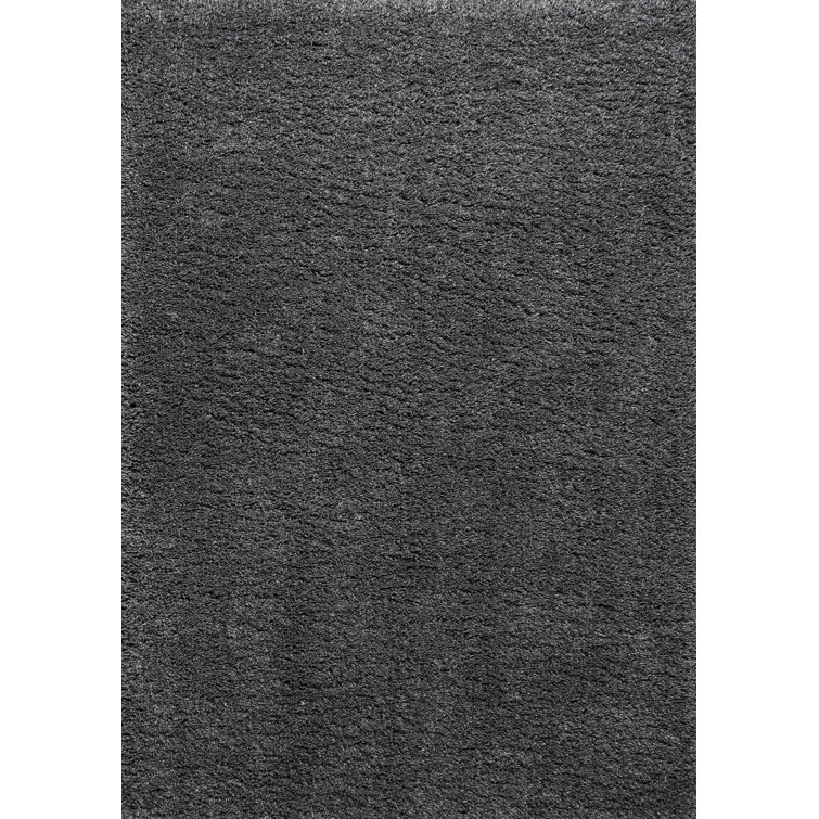 Anttwan Solid Shag Dark Gray Rug