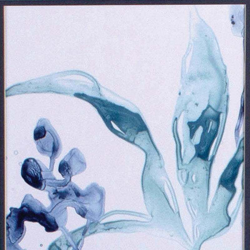Ensemble de deux fleurs bleues encadrées