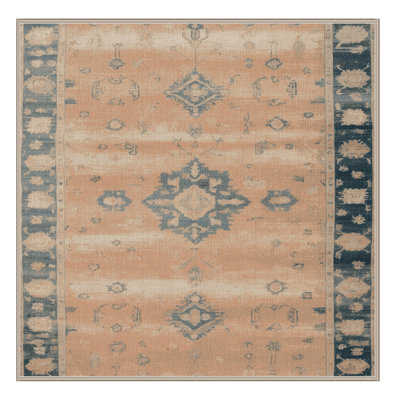 Machine Washable Overdyed Brown Area Rug