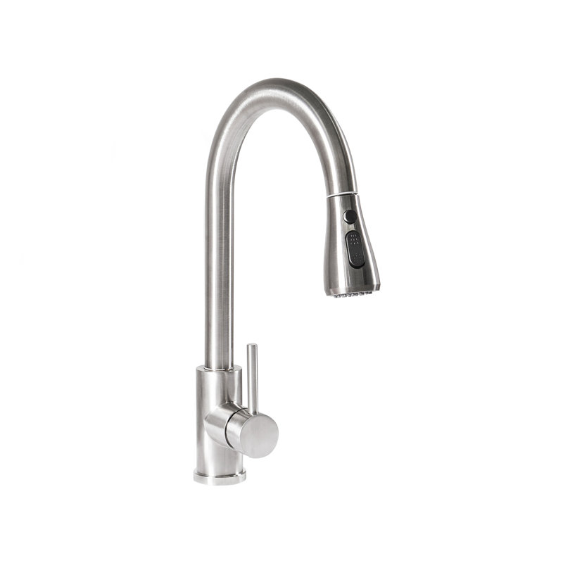 Belfry Kitchen Kitchen Faucet, Brushed Nickel/Polished Chrome