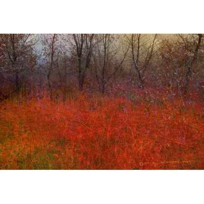 Impression sur toile tendue