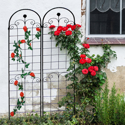 Support extérieur élégant en treillis de fer antirouille pour plantes grimpantes
