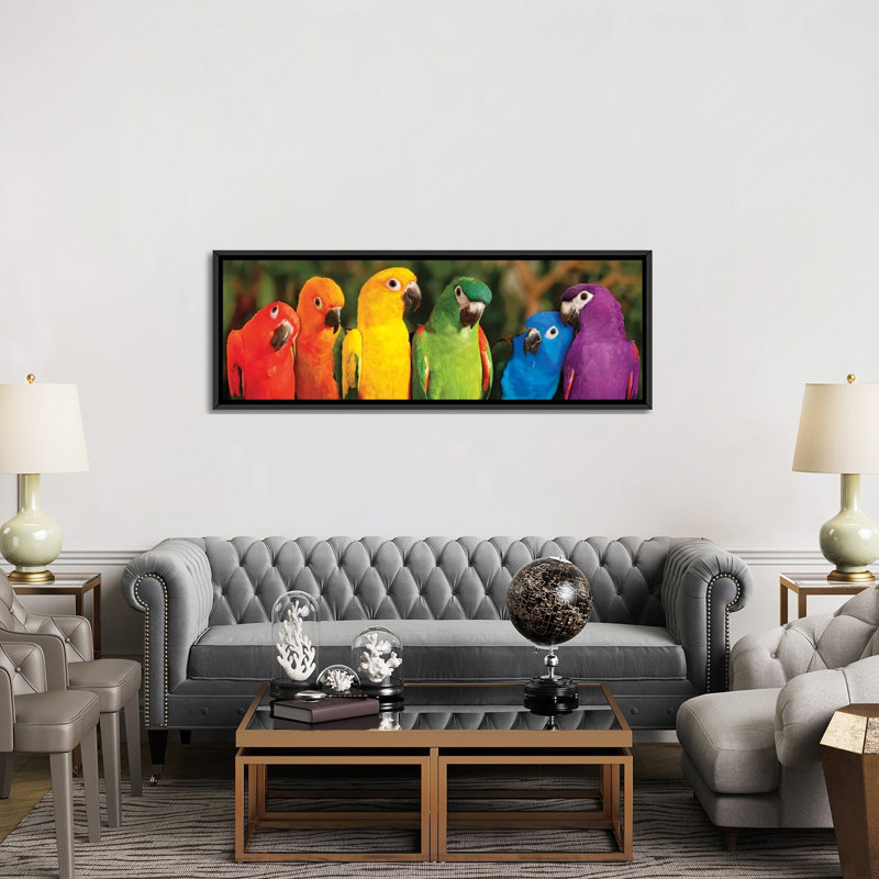 «Rainbow Parrots», impression sur toile tendue, H 12 po x l 36 po x P 1,5 po, Toile avec cadre noir
