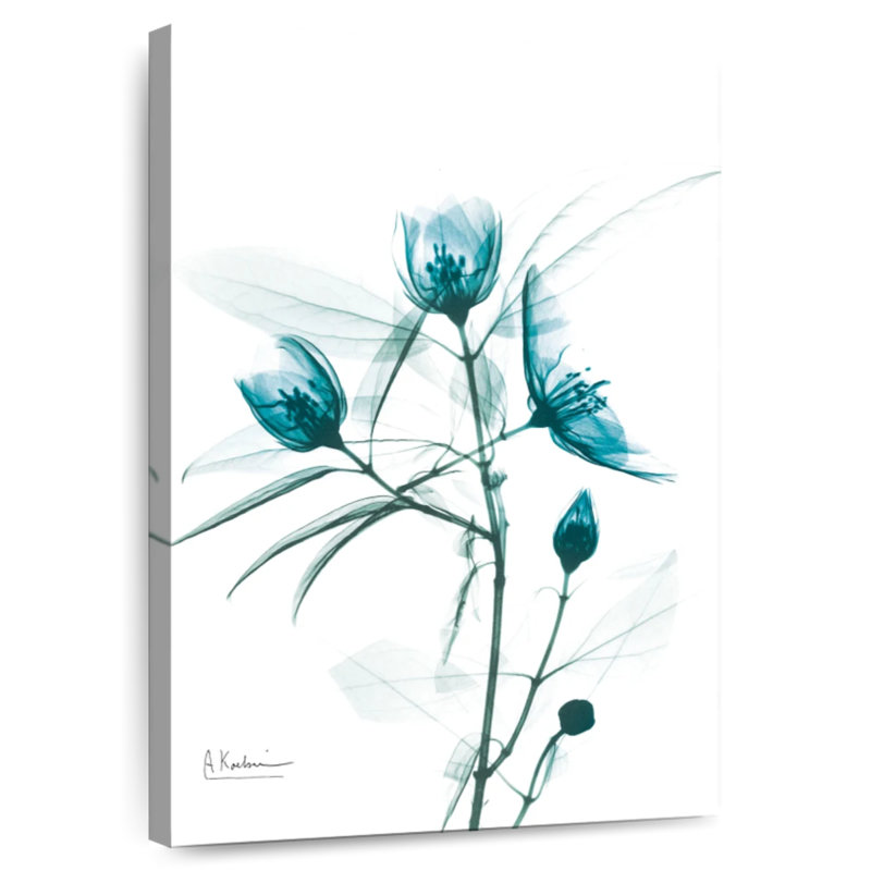 Harnek Aqua Beautiful Growth II, 12" H x 8" W