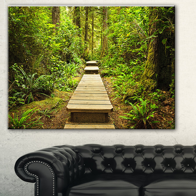 Forêt, forêt tropicale tempérée, reproduction d'art sur toile, H 20 po x l 40 po x P 1 po