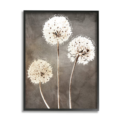 " Fluffy Dandelion Plants Wildflower "