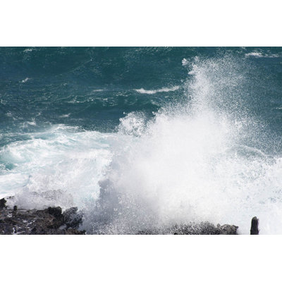 Décalcomanie murale blowhole i