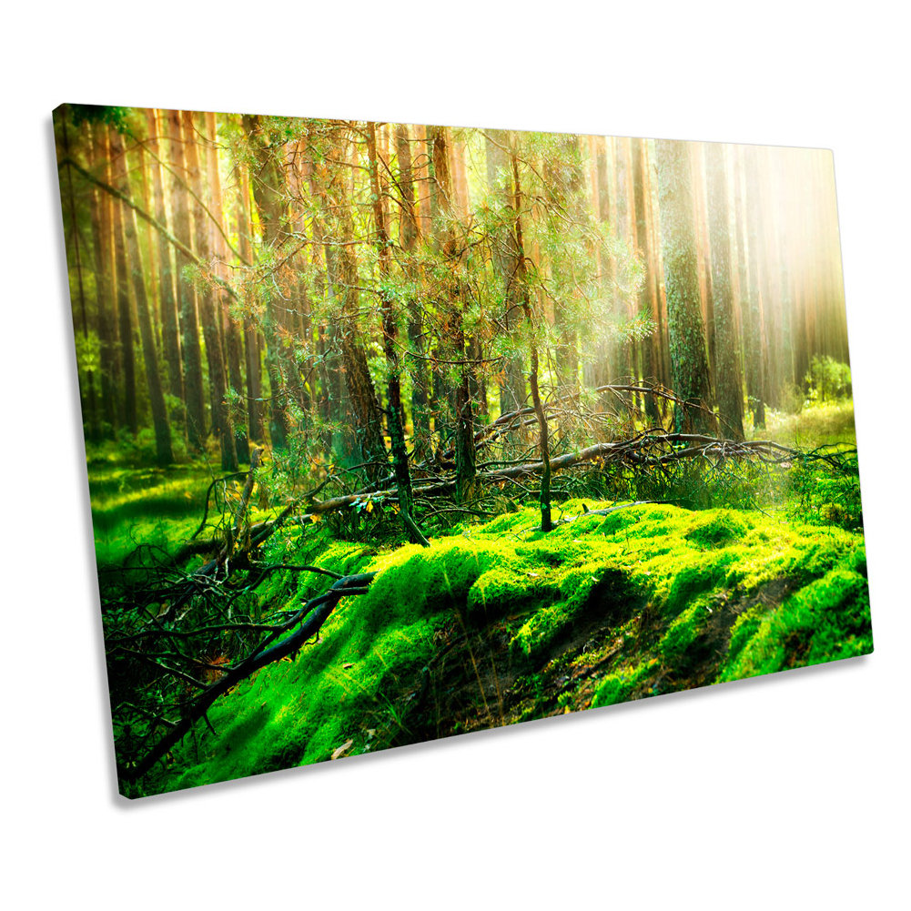 Green Forest Landscape Misty - Wrapped Canvas Print