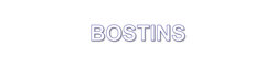 Logo BOSTINS
