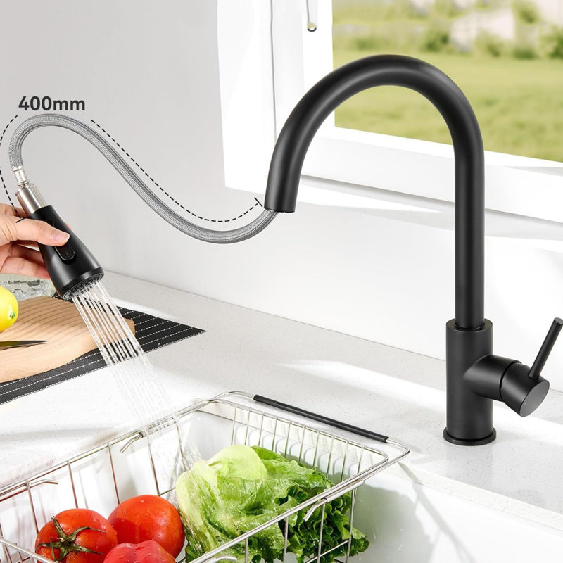Rebrilliant Kitchen Faucet