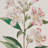 Herbal Botany 4Piece Botanical Illustration Framed Canvas Wall Art Set