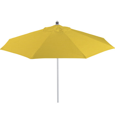 Mack Replacement Canopy