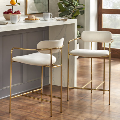 Mavra 24" Counter Stool by Everly Quinn