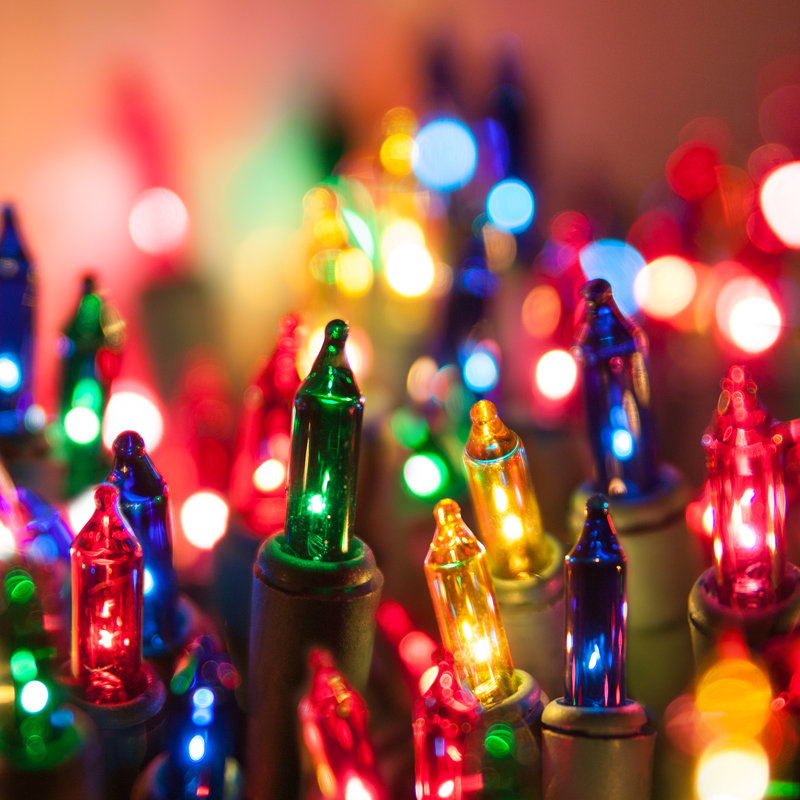 204'' String Lights, Multi