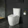 Toilette allongée deux pièces Essence 1,28 GPF (économe en eau) (siège inclus)