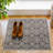 Benaiah Indoor Doormat Washable Doormat for Entryway w/ Non Slip Backing-695247872