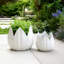 Ensemble de 2 pots en céramique en grès avec motif de pétales et trous de drainage-2035871045-2044407863