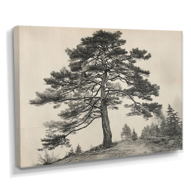 Reproduction d'art sur toile, pin, H 30 po x l 40 po, Toile tendue, Ne s’applique pas