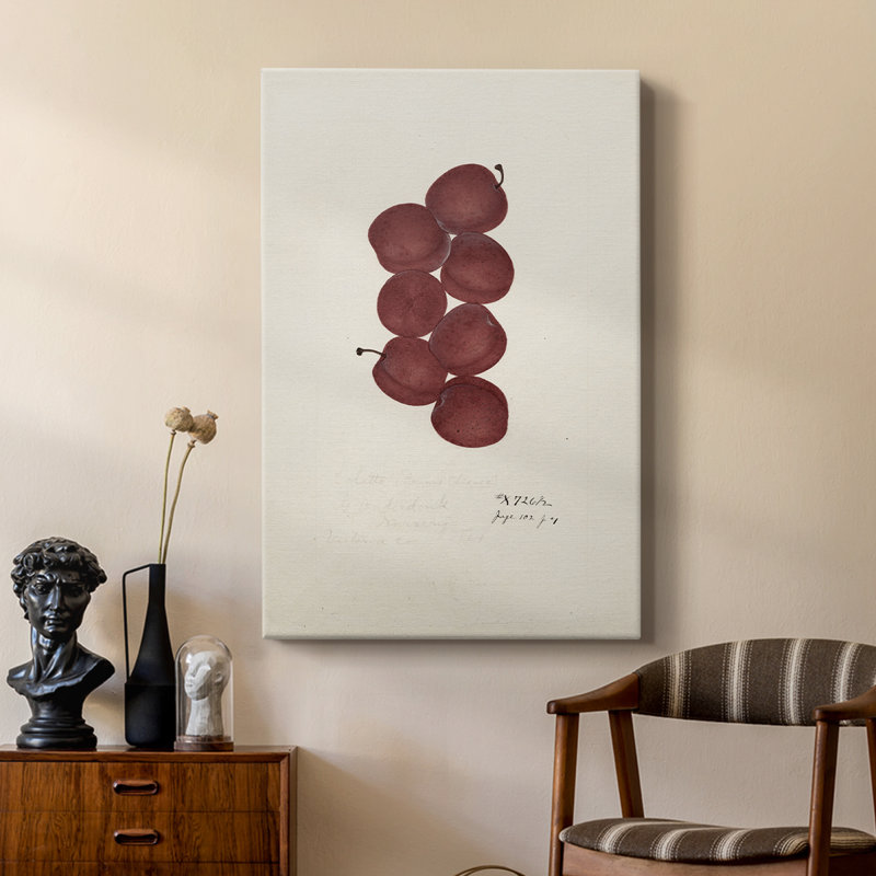 Imprimé floral rétro XLVI - galerie Cavas sur mesure, H 48 po x l 32 po