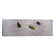 High Angle View Of Moss On Three Stones In A Zen Garden, Washington Park, Portland, Oregon, Usa by Panoramic Images - No Frame Panoramic Print on Canvas