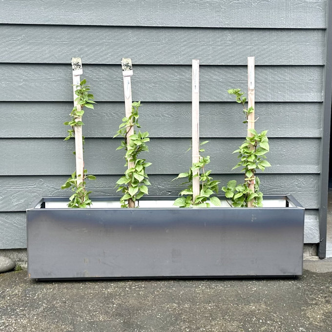 Veradek Trough 36 in. Rust Corten Steel Metal Window Box Planter TRHV36CS - The
