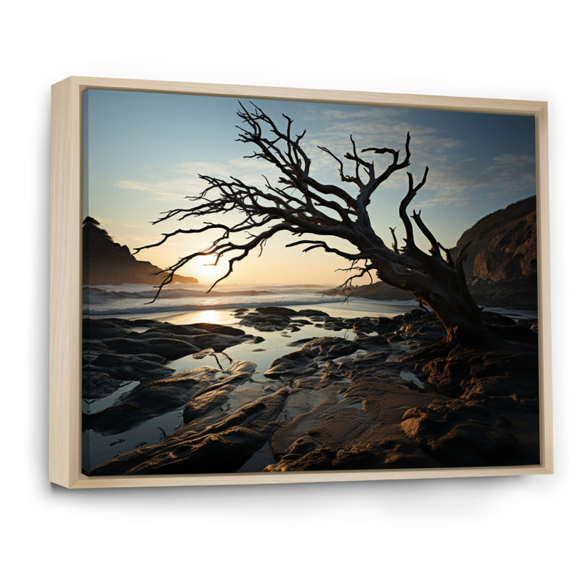 «Alixia Tree Beachside Harmony III», reproduction sur toile, H 12 po x l 20 po x P 1 po, Cadre naturel flottant