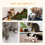 Durrant 100.5cm H Cat Tree