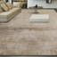 Abstract Area Rug in Taupe