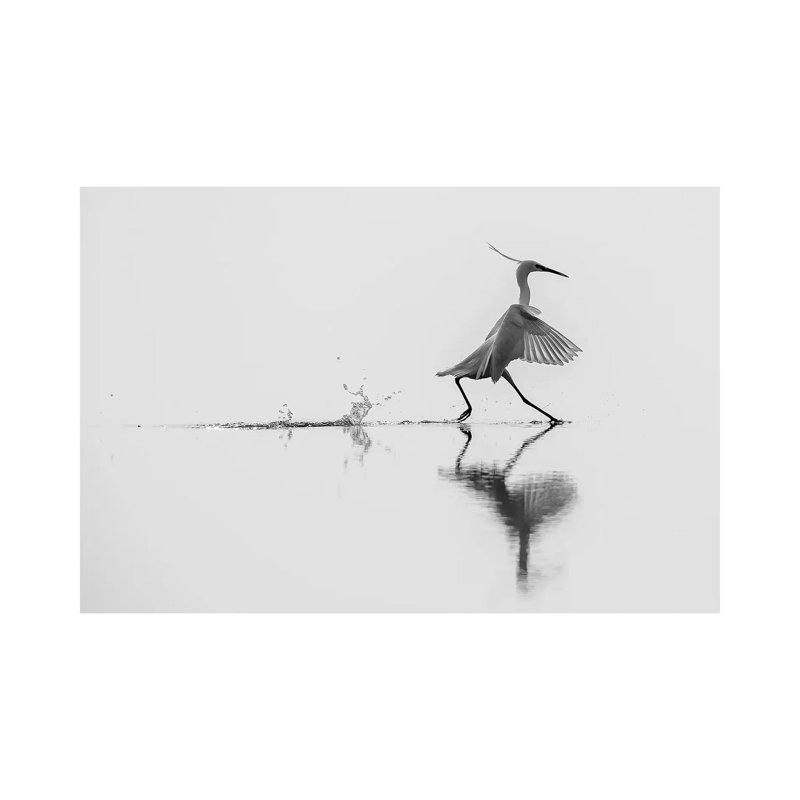 Dancing On The Water by Mauro Rossi - Wrapped Canvas Print, 66.04 cm H x 45.72 cm W x 3.175 cm D