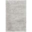 Tapis argenté-24844885