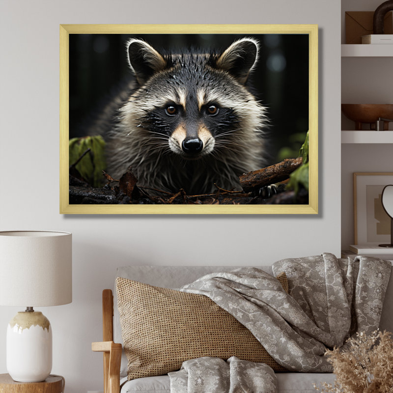 Curious Raccoon II sur impression sur toile, H 34 po x l 44 po x P 1,5 po, Encadrement doré