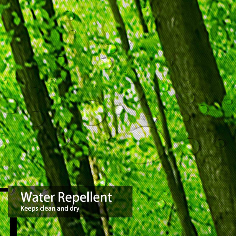 Rideau de douche à 12 crochets Nature Forest, L 72 po x l 72 po