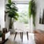 Chaise Cutive-1034744388