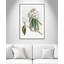 «Pearly Beauty II» par Eva Watts-129313427-129313469-129313484