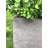 Planter-233710365-169871259