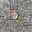 Bardiglio 1 in. x 2 in. Basketweave Polished Stone Tile