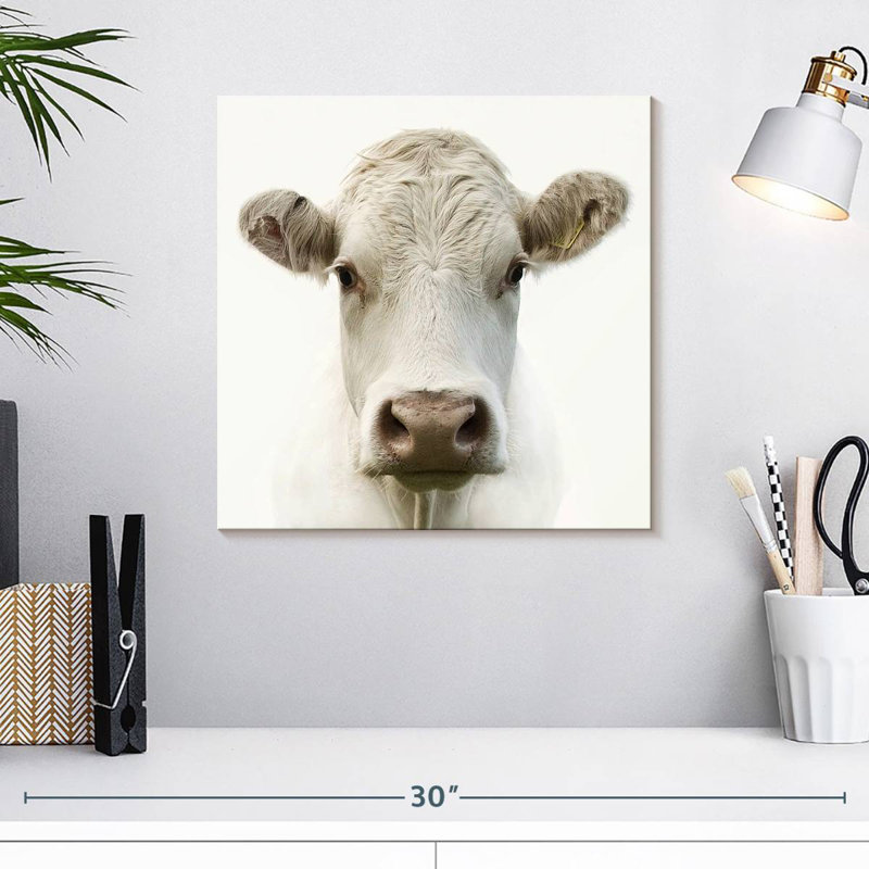 Charolais Cow, 16" H x 16" W