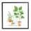 «Bathroom Greenery Varied Plants» par Rachel Nieman - cadre flottant, impression sur bois