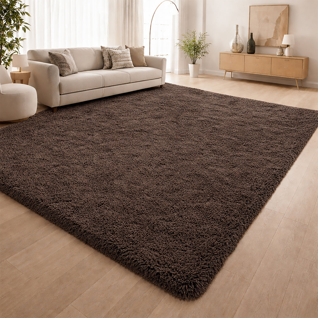 Aspire Homeware Brown Shaggy Area Rug Soft Plush Indoor Carpet