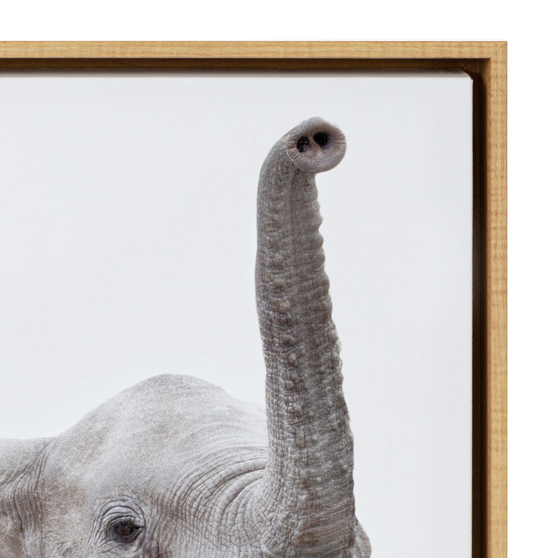 'Safari Animals' by Amy Peterson - Floater Frame Graphic Art Print on Canvas, Natural