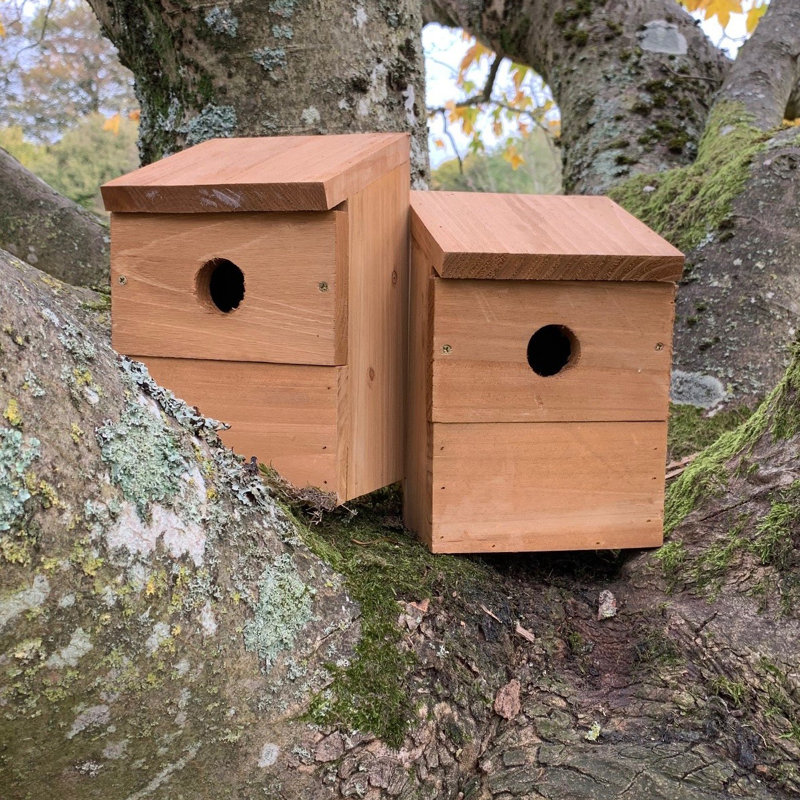 Wooden Multi-Hole Mounted Bird House