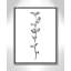Fleurs simples 4 - reproduction de dessin-55543431-55543430