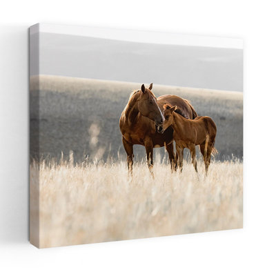 «Montana Mares», art chevalier contemporain n ° 1