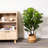 Artificial Fiddle Leaf Fig Tree 5Ft/7.2Ft-1417875966