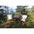 Valenzuela Folding Director Chair-1450461054