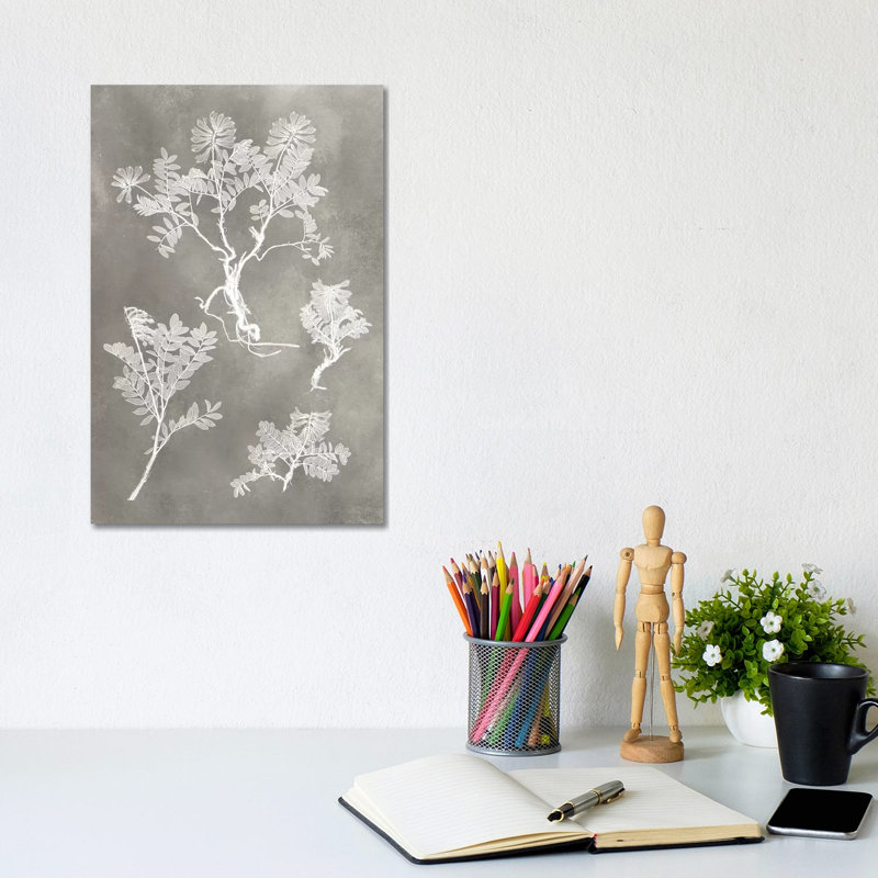 Herbarium Study II 1 Piece Wrapped Canvas Wall Art, 20.32 cm H x 30.48 cm W