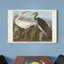 Impression sur toile tendue « pl 222 White »-146864488