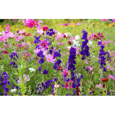 Herb and Flower Garden by Fotolinchen