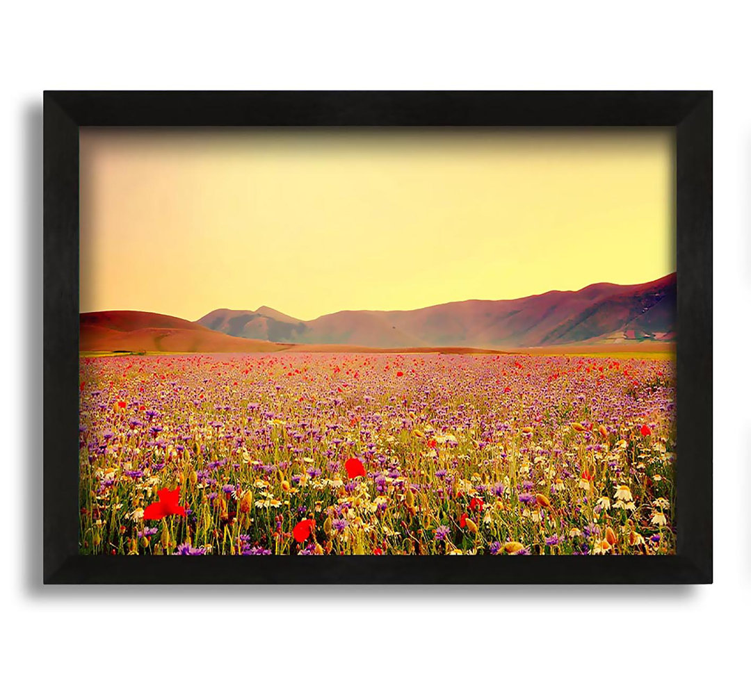 Gerahmtes Leinwandbild Sunny Field of Beautiful Wild Flowers